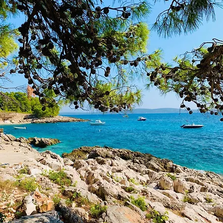 Daire Hvar